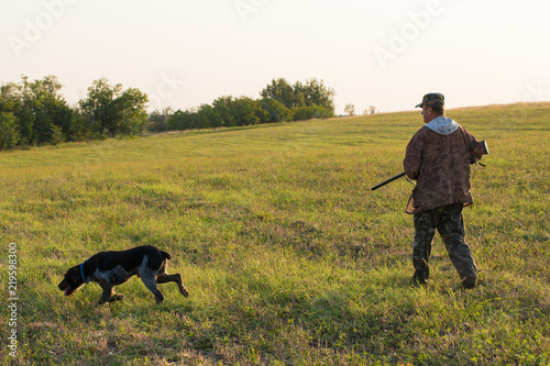 Hunter with a German trotter and spaniel, hunting a pheasant with dogs © Mountains Hunter
