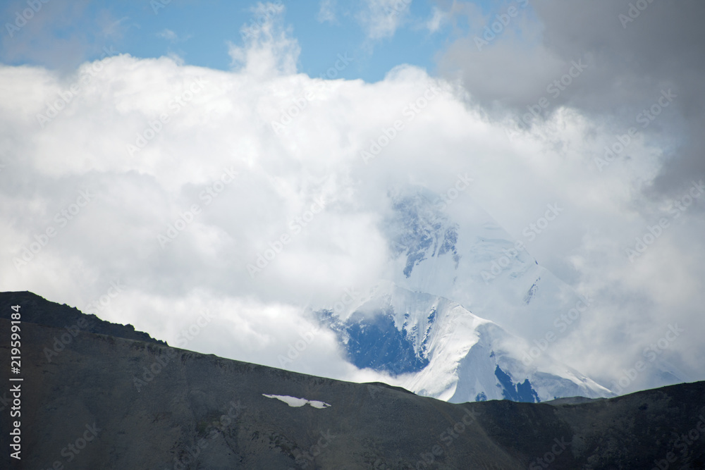 Denali National Park Green Transit Bus Tour 