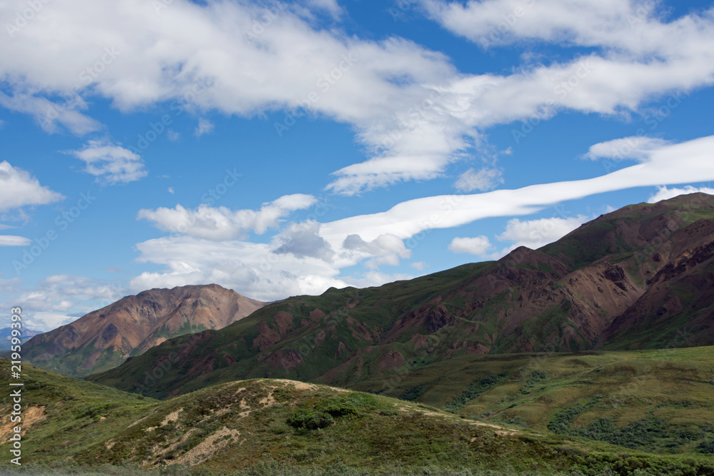 Denali National Park Green Transit Bus Tour Denali National Park Green Transit Bus Tour