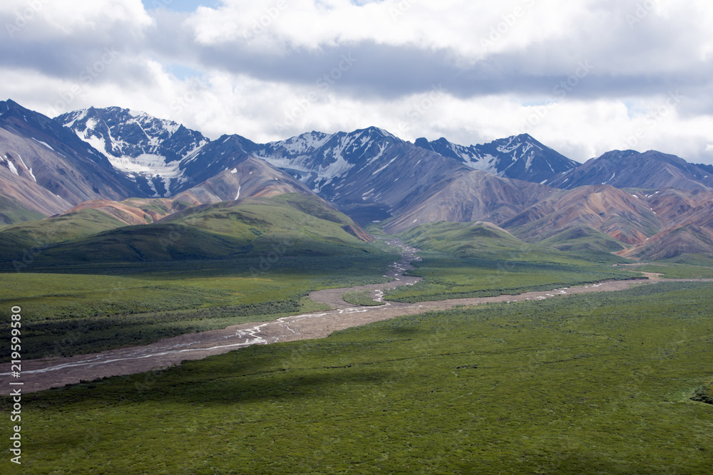 Denali National Park Green Transit Bus Tour Denali National Park Green Transit Bus Tour