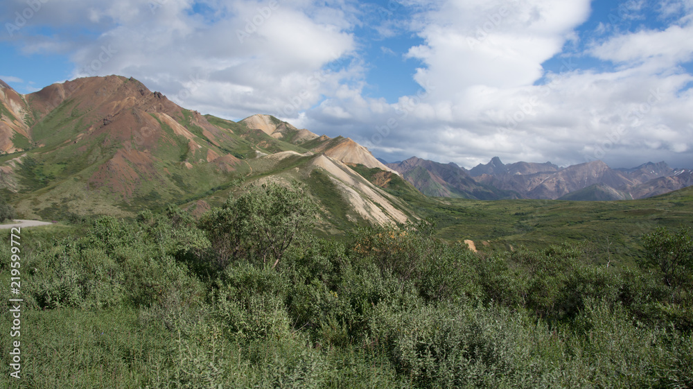 Obraz premium Denali National Park Green Transit Bus Tour 