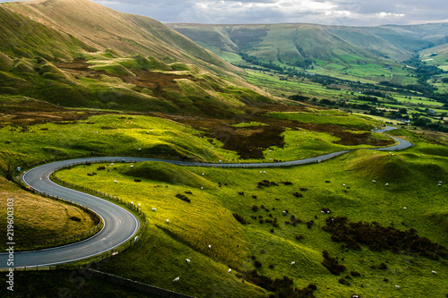 Sheep at Mam Tor, Peak District National Park, at sunset, with a view along the winding road among the green hills down to Hope Valley, in Derbyshire, England.