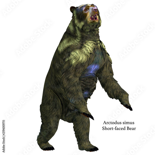 Arctodus Bear Rearing Up - Arctodus was an omnivorous short-faced bear that lived in North America during the Pleistocene Period. photo