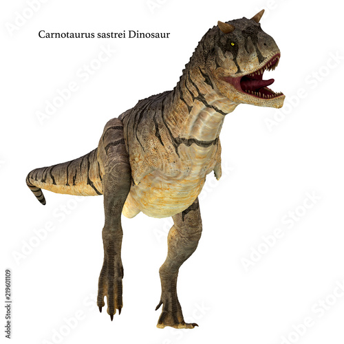 Carnotaurus sastrei Dinosaur on White - Carnotaurus was a carnivorous theropod dinosaur that lived in Patagonia  Argentina during the Cretaceous Period.