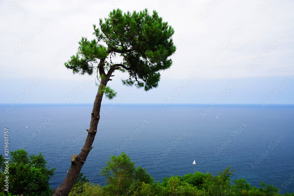View of San Sebastian, famopus resort in Spain, Europe