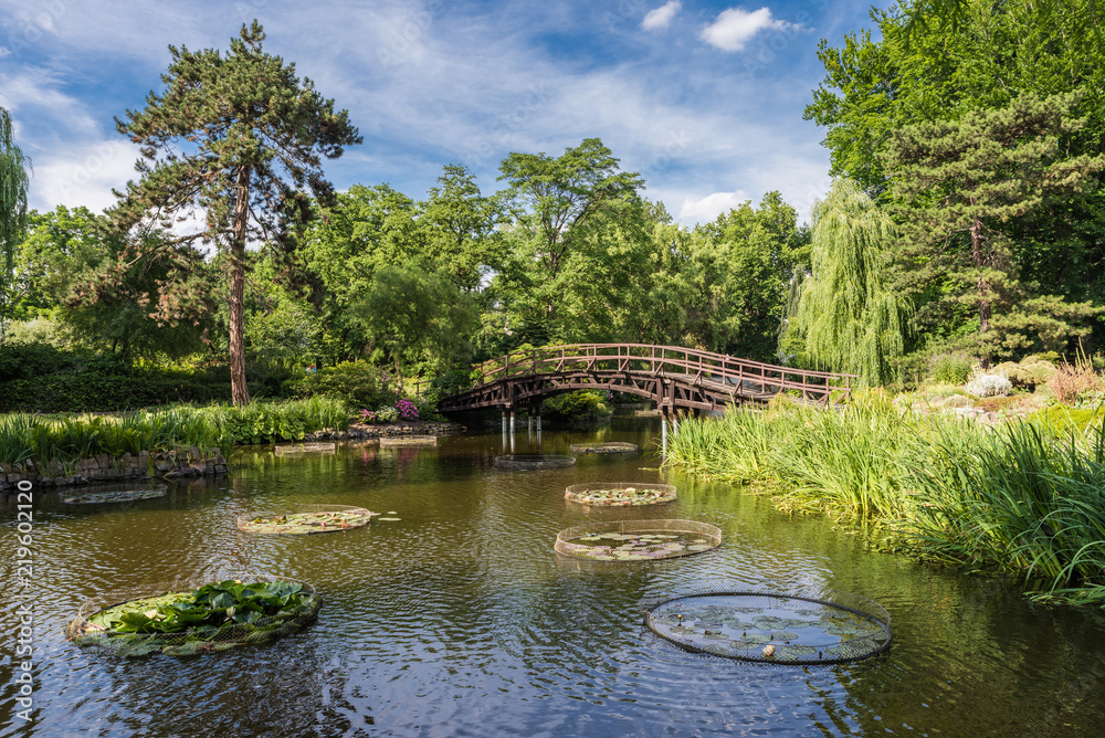 Naklejka premium Breslau – Botanischer Garten der Universität Breslau