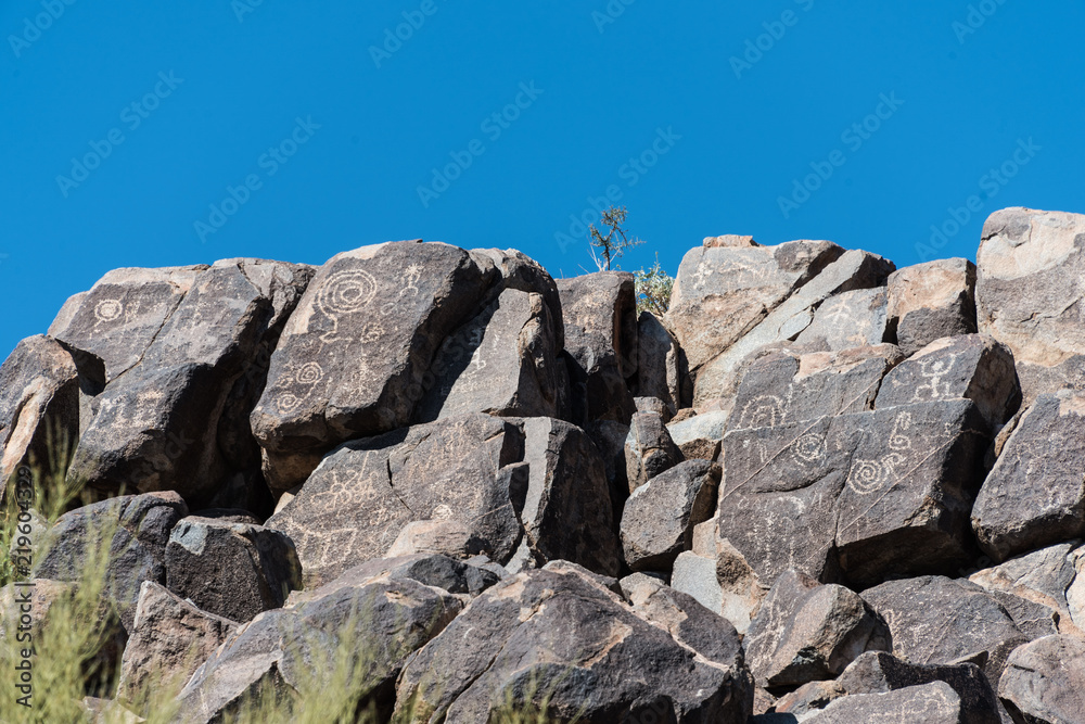 Saguaro National Park