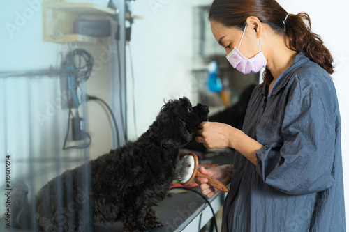 Female groomer at work holds a brush for pet brushing wool in the beauty salon for dogs