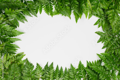 Frame made of fern leaves isolated on white background.