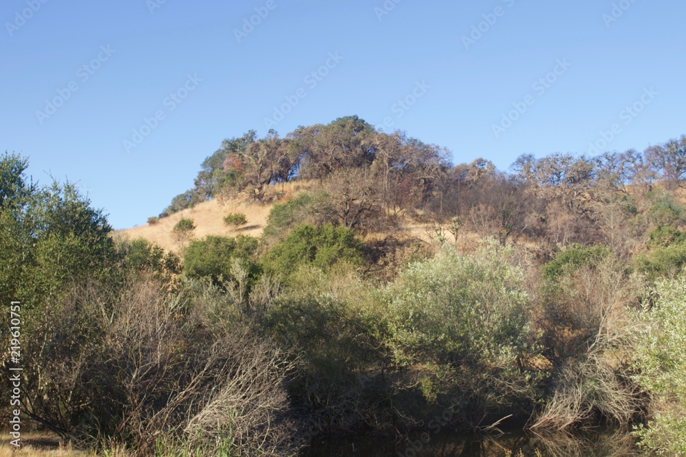 Shiloh Ranch Regional Park in southeast Windsor includes oak woodlands, forests of mixed evergreens, ridges with sweeping views of the Santa Rosa Plain, canyons, rolling hills, a shaded creek, and a p