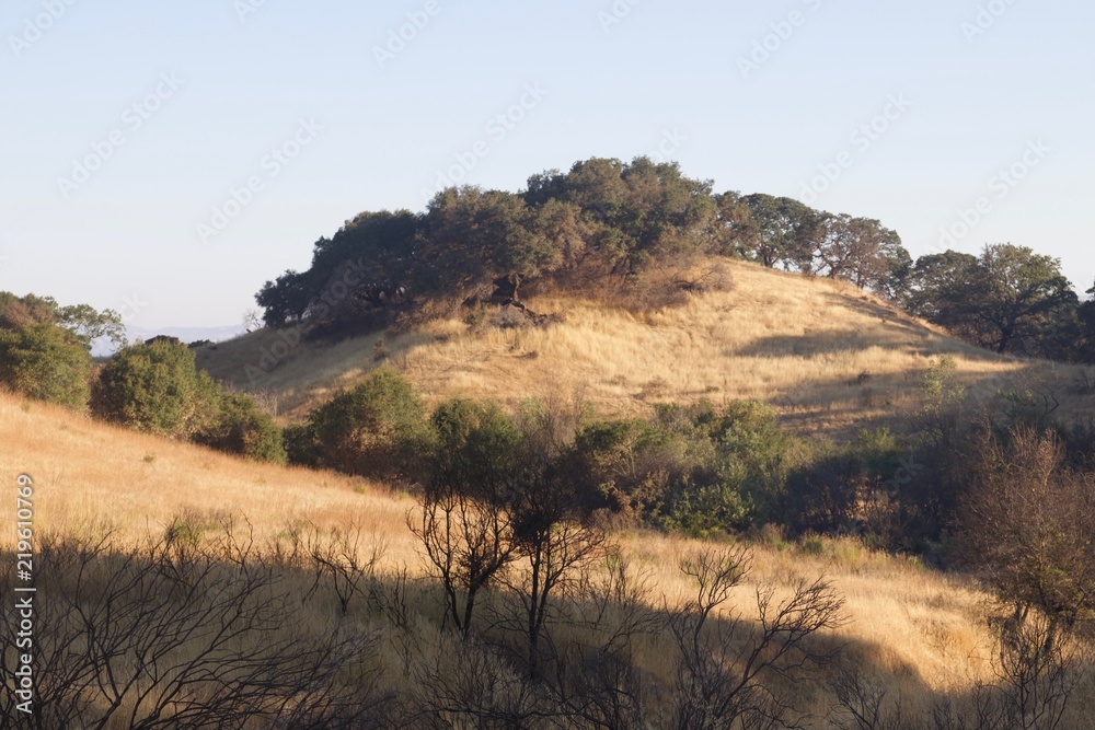 Shiloh Ranch Regional Park in southeast Windsor includes oak woodlands, forests of mixed evergreens, ridges with sweeping views of the Santa Rosa Plain, canyons, rolling hills, a shaded creek, and a p