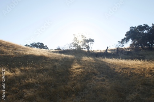 Shiloh Ranch Regional Park in southeast Windsor includes oak woodlands  forests of mixed evergreens  ridges with sweeping views of the Santa Rosa Plain  canyons  rolling hills  a shaded creek  and a p