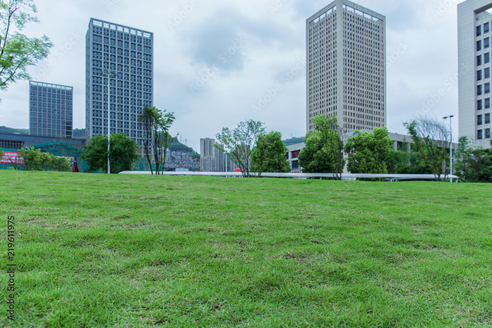 City's vast grassland park and skyscrapers in the business district