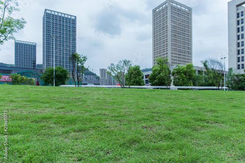 City's vast grassland park and skyscrapers in the business district © 宗毅