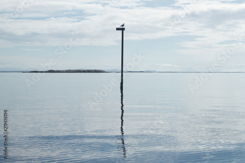 Seagull on a Pole in the Ocean