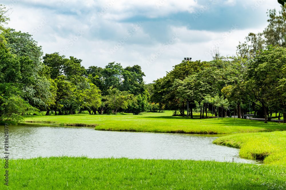 The pond and trees in the park.