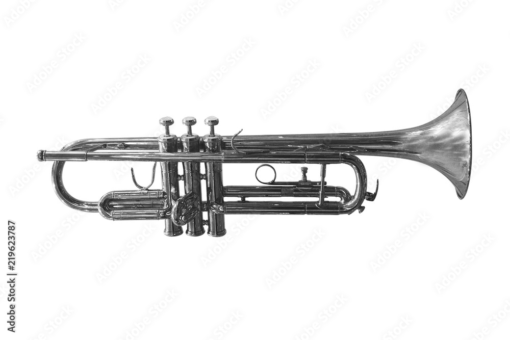 Obraz premium trumpet