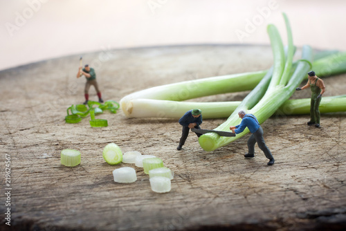 Miniature figure  Workers are chopping spring onion with saw .