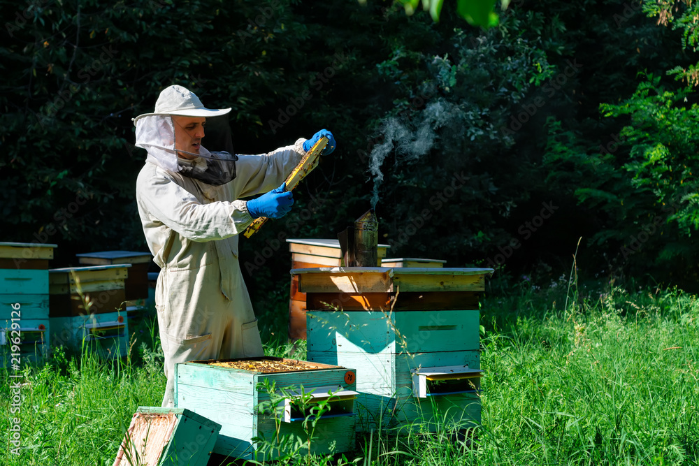 A young man beekeeper works on a beehive near the hives. Natural honey directly from the hive.