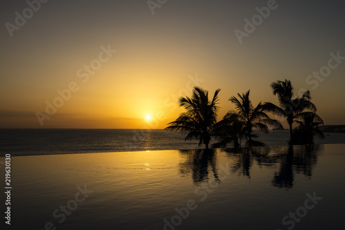 Beautiful sunset in Spain, Gran Canaria. In the background is the sea and the palm branches.