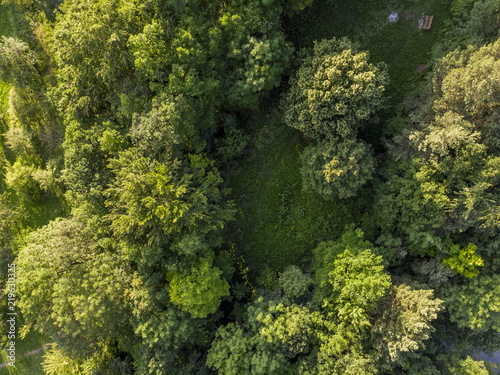 Fototapeta Naklejka Na Ścianę i Meble -  Wald mit Lichtung - Luftaufnahme