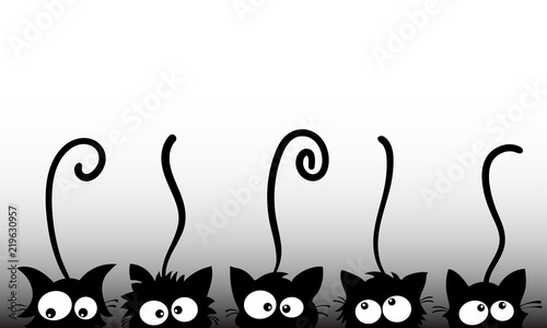 Funny black cats.