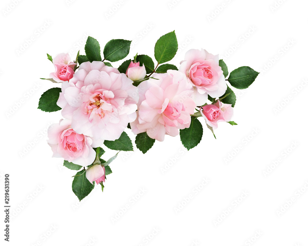 Obraz premium Różowe kwiaty róży i zielone liście w kwiatowym układzie narożników