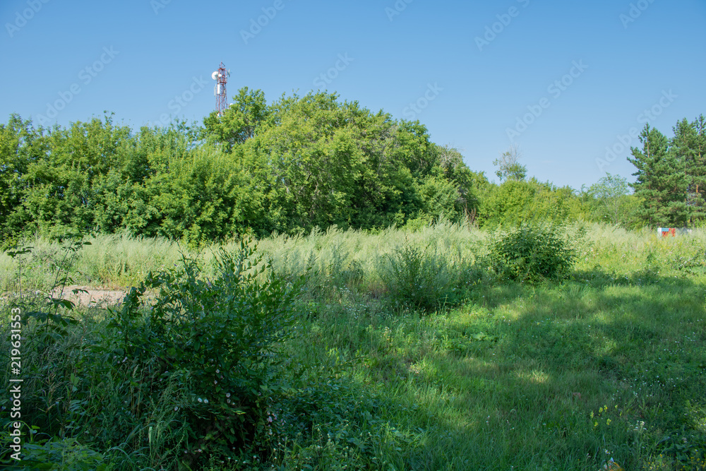 Obraz premium Village. Rural. The wasteland behind the village. In the distance you can see the TV tower.