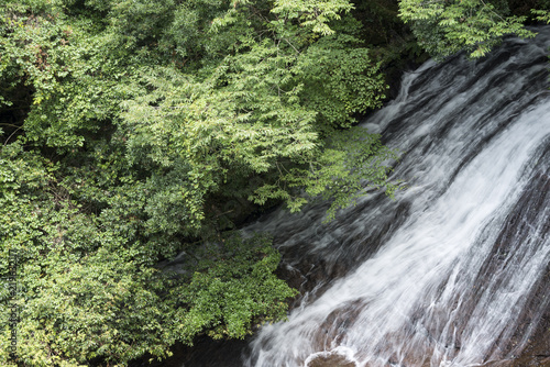 緑の森と布の滝 © varts