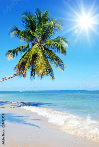 Fototapeta Naklejka Na Ścianę i Meble -  Welcome to Paradise! Sandy tropical beach with coco palms - Sandstrand mit Palmen, Sonne und Meer - Postkarte