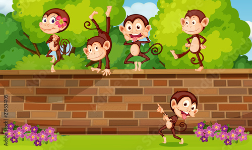 Photography A group monkey playing at brick wall