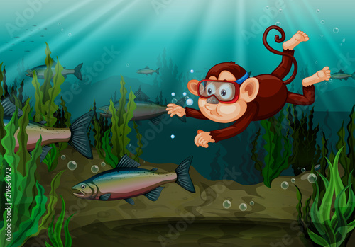 A monkey catching fish in the river