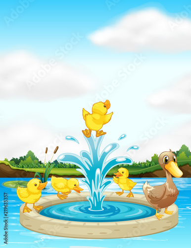 A duck family at the fountain