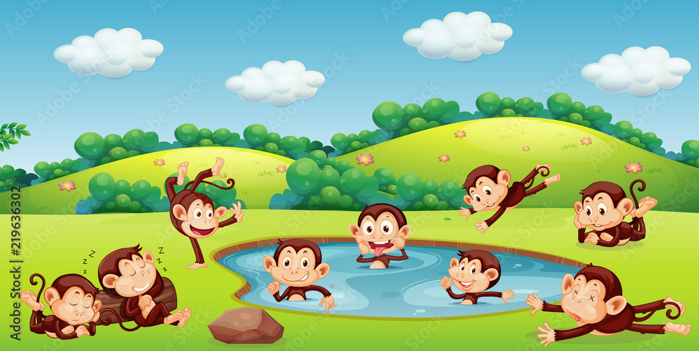 Monkey playing in nature Monkey playing in nature