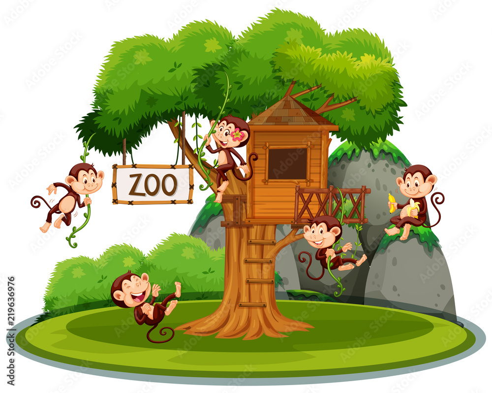 Fototapeta premium Monkey at treehouse in the zoo