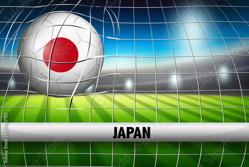 A Japan soccer ball at goal