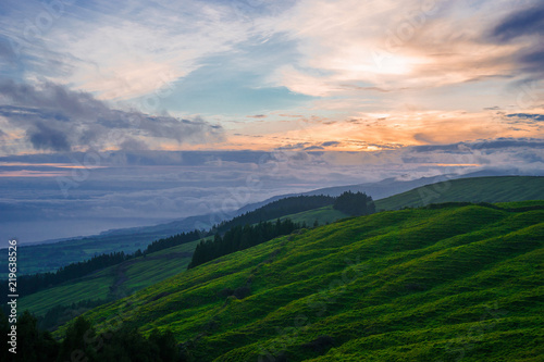 Green field on hill with small pieces of forest during Colorful Sunrise