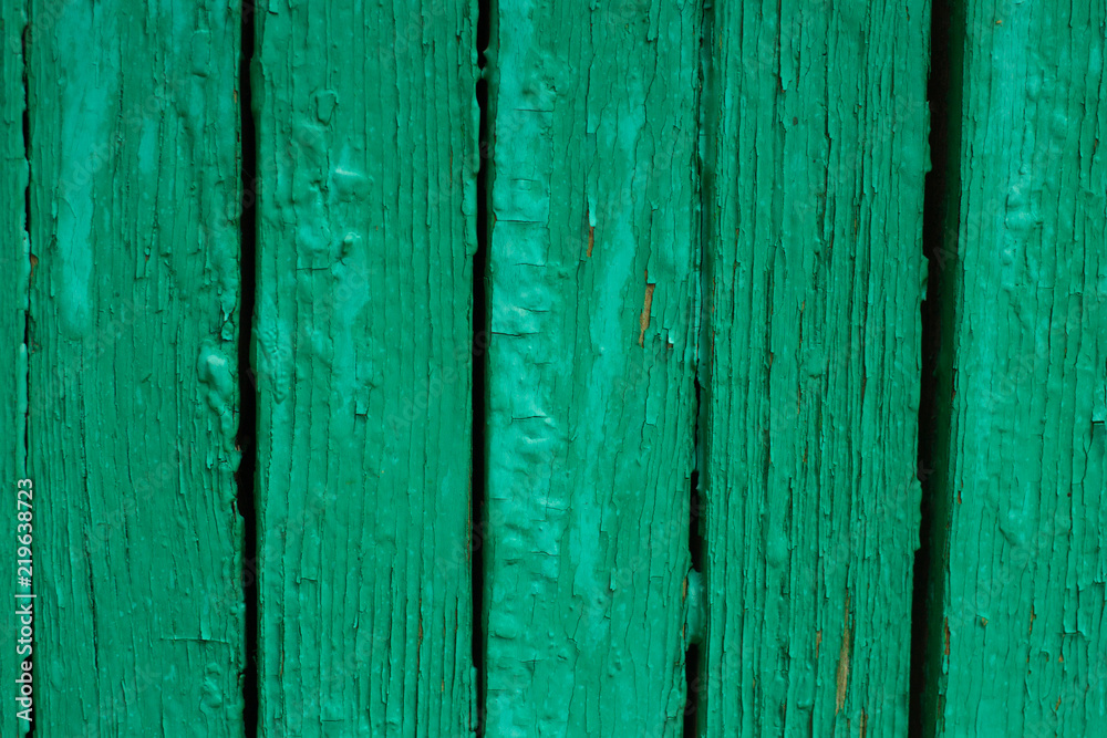 Green wood texture Green wood texture