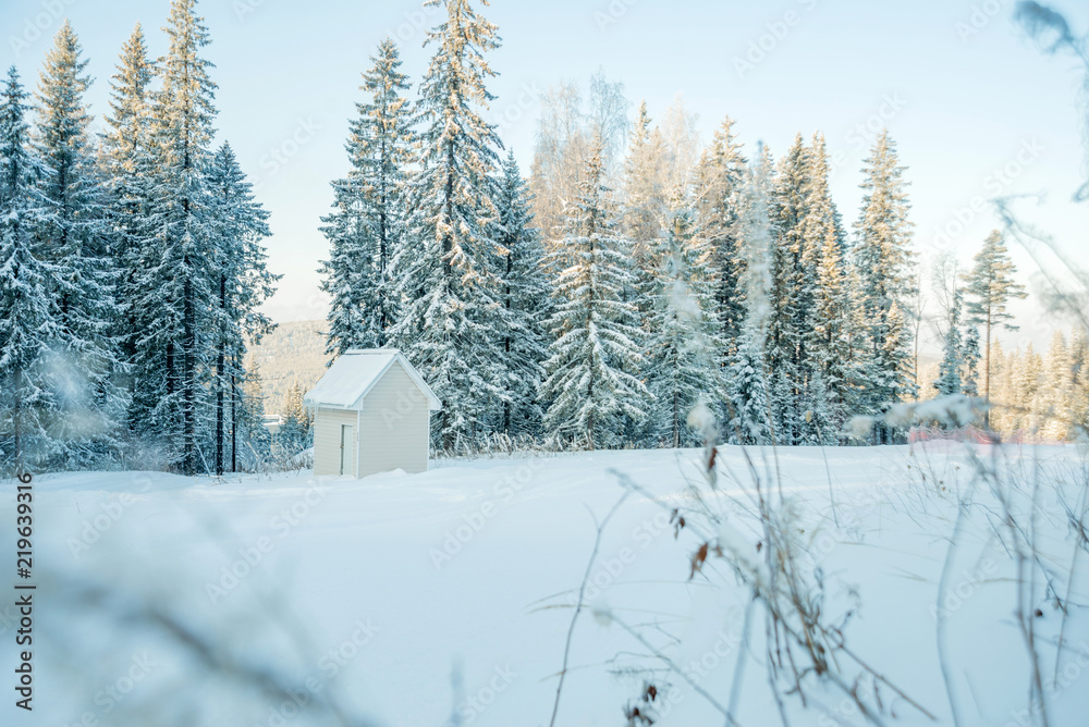 Snow-covered trees on a Sunny winter day in the ski resort, winter forest in the mountains Snow-covered trees on a Sunny winter day in the ski resort, winter forest in the mountains