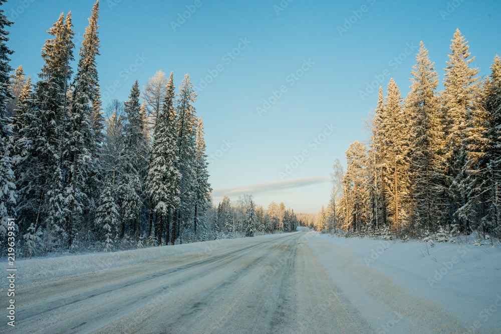 Snow-covered trees on a Sunny winter day in the ski resort, winter forest in the mountains Snow-covered trees on a Sunny winter day in the ski resort, winter forest in the mountains