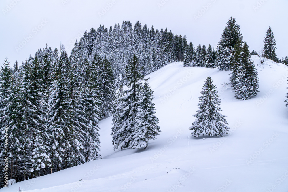 Verschneite Bergwelt beim Wandern im Schnee in Füssen