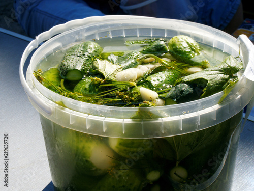 Freshly-salted cucumbers with seasonings in plastic container