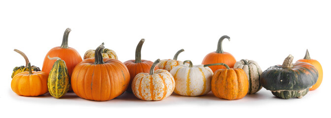 Many Pumpkins on white background