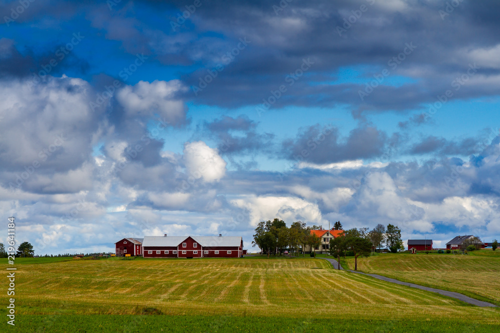 Fototapeta premium Sweden, Frösön Östersund in Jämtland
