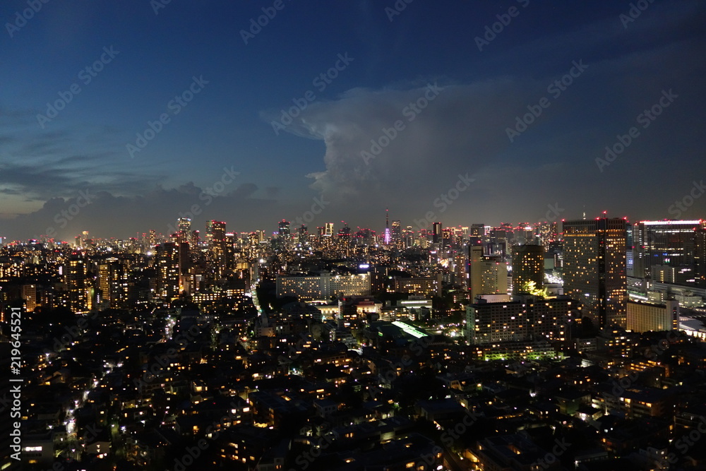 Obraz premium Tokyo
