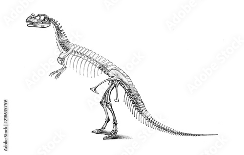Illustration of dinosaur 