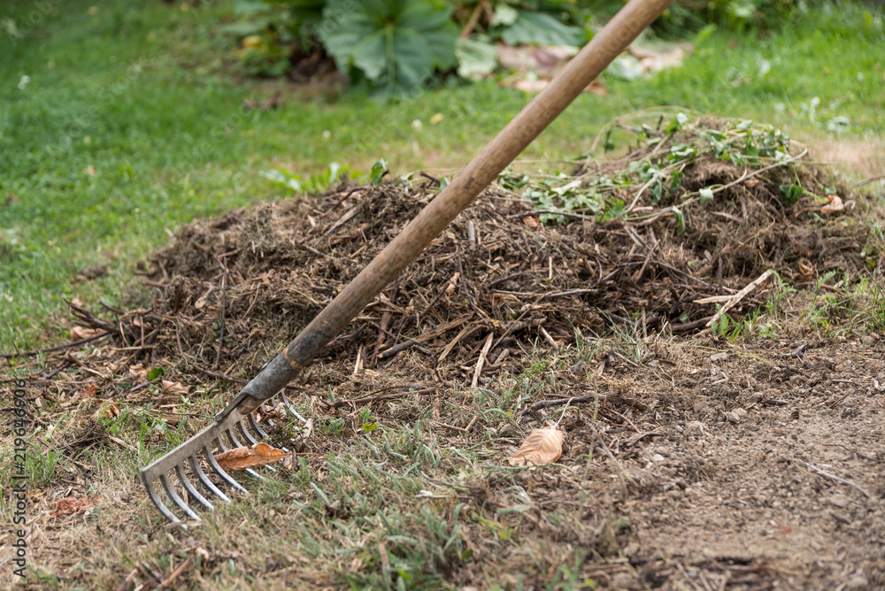 How to Use a Garden Rake Properly: Expert Tips & Techniques