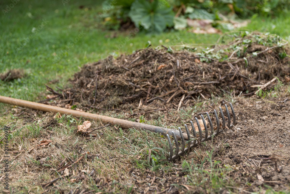 Fototapeta premium Rake turned off dangerously - danger garden tool