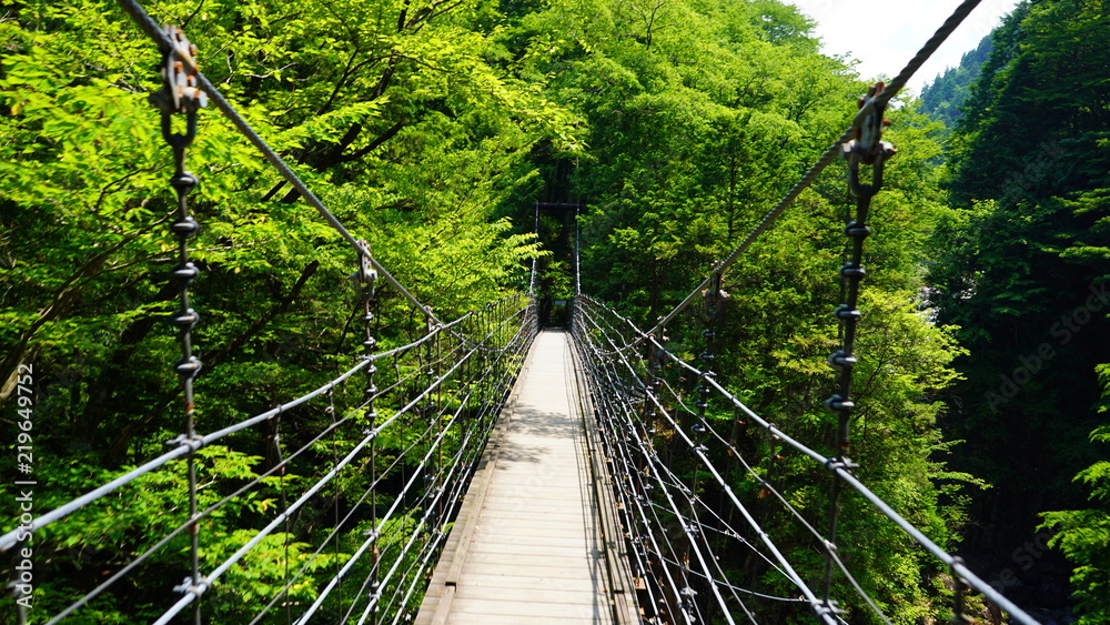 Fototapeta premium 吊り橋 付知峡