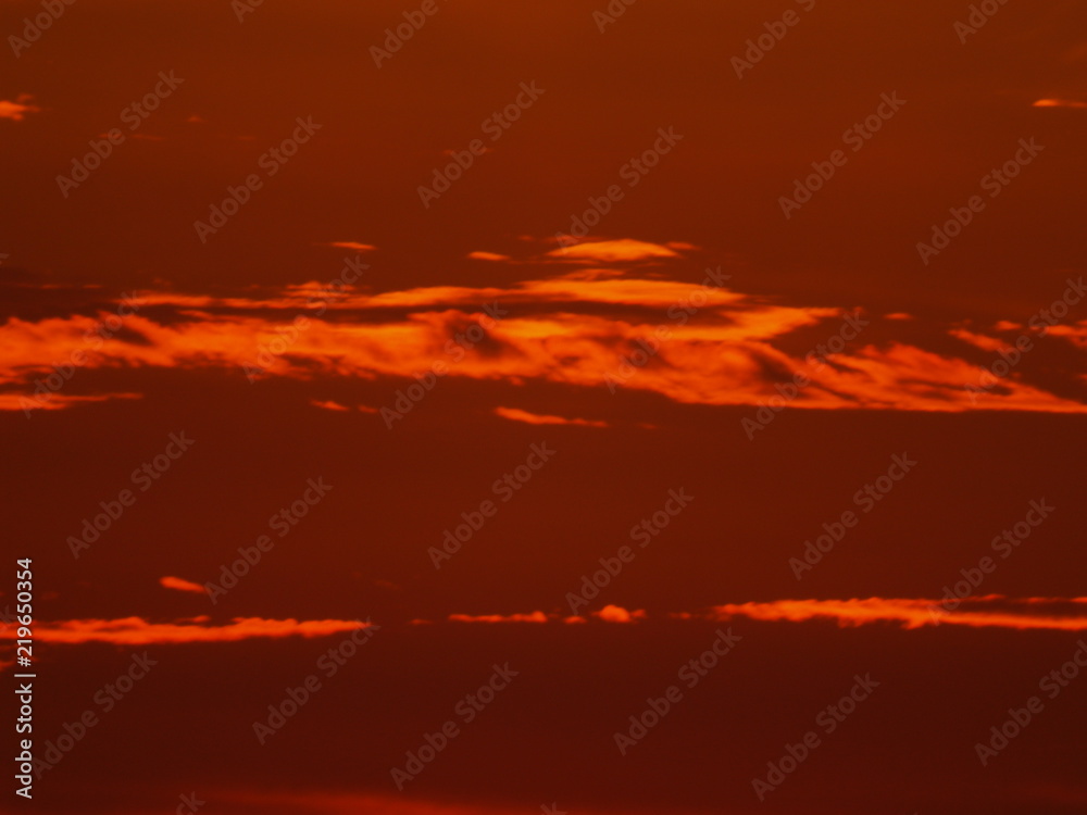 Obraz premium OLYMPUS DIGITAL CAMERA